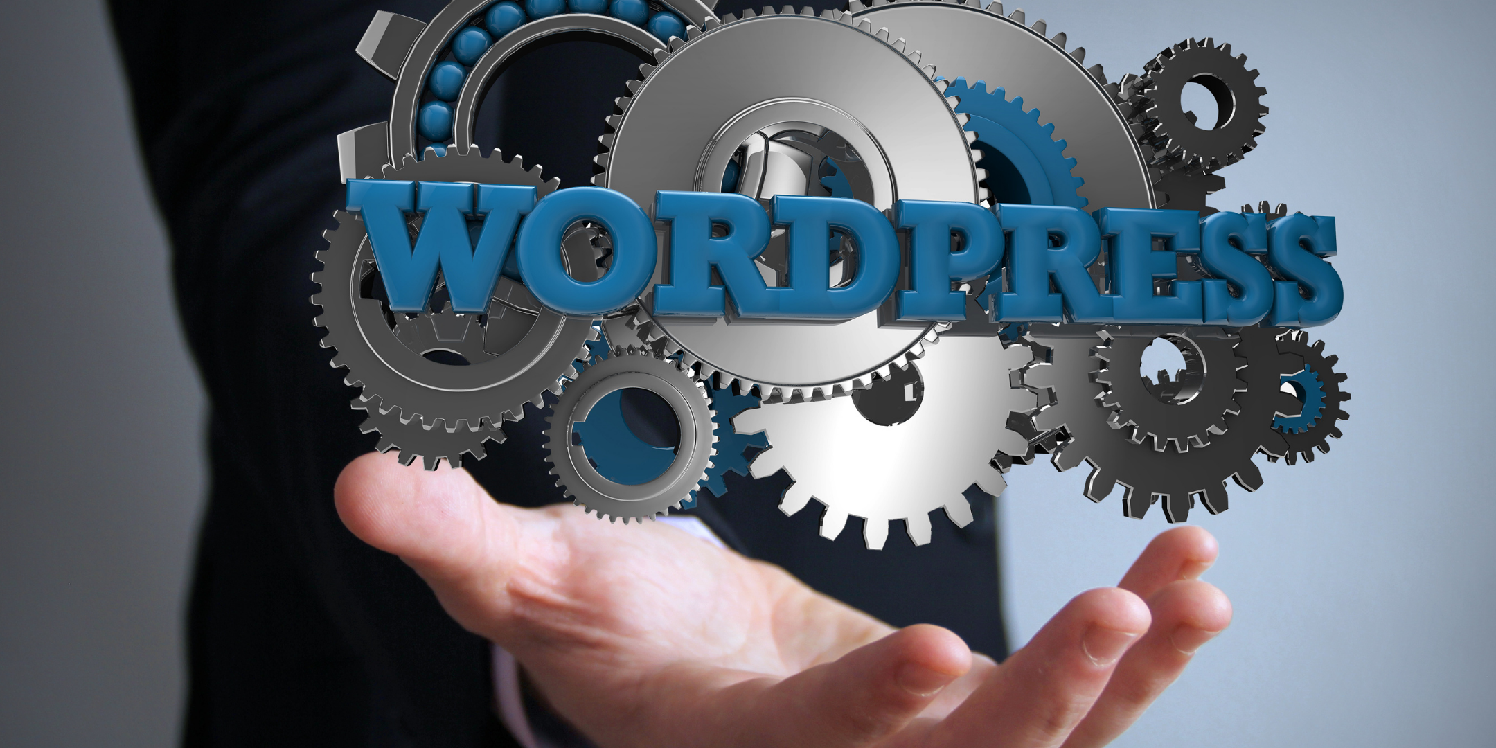 everything to know about wordpress
